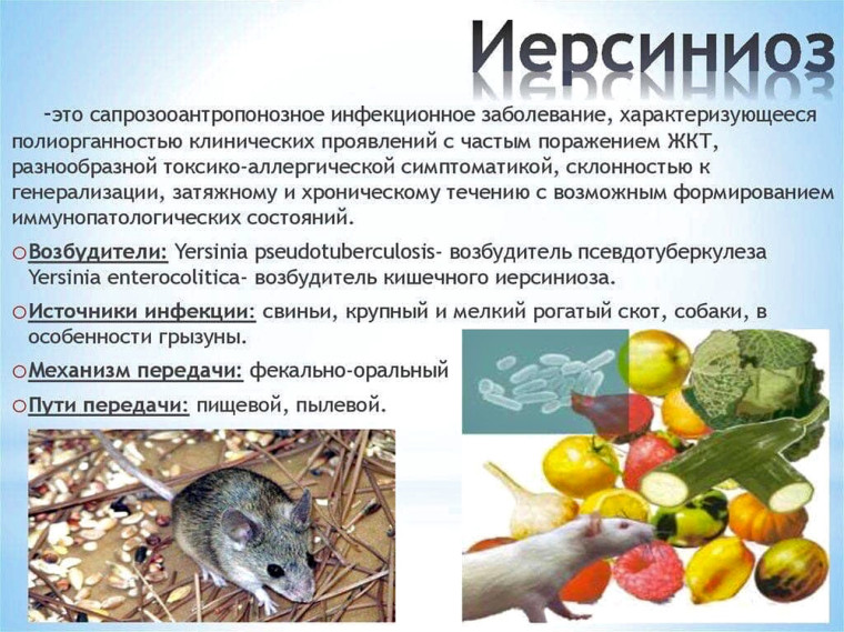 ПРОФИЛАКТИКА ИЕРСИНИОЗА.